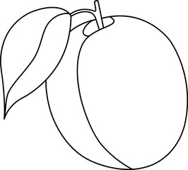 vector illustration of apricot, apricot with a leaf, summer fruit, healthy and organic food, doodle and sketch style