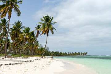 Paradise Found: Exploring the Natural Beauty of Saona Island