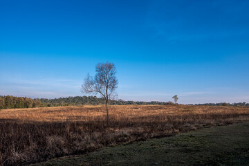 Phu Khiao-Thung Kramang Wildlife Sanctuary Park Area