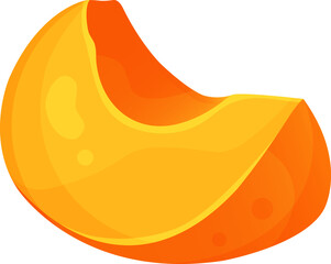 vector illustration of apricot, apricot slice, summer fruits, healthy and organic food