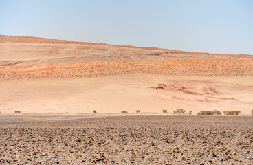 Fototapeta na wymiar Landscape around Sossusvlei, Namibia