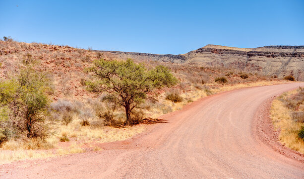 Zari Bilder Durchsuchen 376 Archivfotos, und Videos