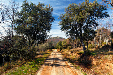 Camino del Molinillo