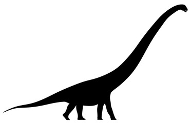 Silhouette of a dinosaur with a long neck. Isolated brachiosaurus. Jurassic animal.