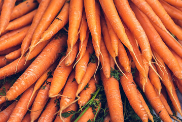 Organic fresh carrots pile at the market.