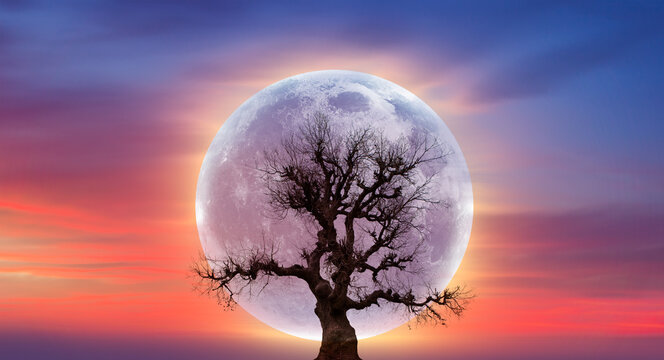 Lone dead tree with super full blue Moon, amazing clouds in the background "Elements of this Image Furnished by NASA"
