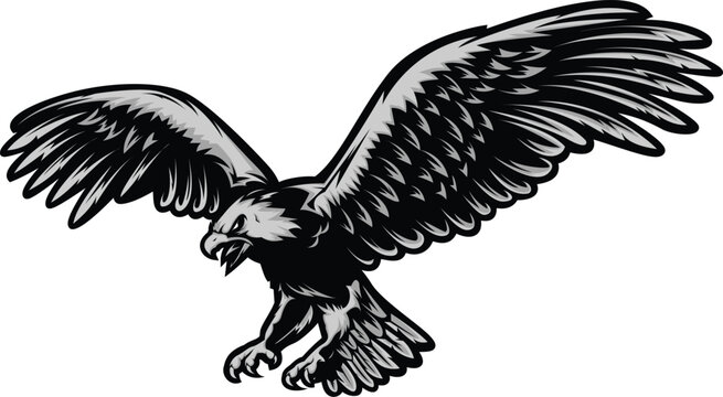 
illustration vector graphic of flying eagle mascot good for logo sport ,t-shirt ,logo	
