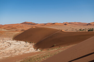 the dessert of namib