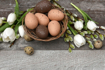 Braune Ostereier im Nest mit Tulpen und Weidenkätzchen auf Holzhintergrund.