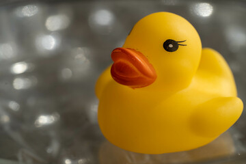 お風呂で浮かぶおもちゃのあひる