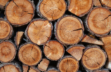 Stack of Cut Lumber, Wood Background
