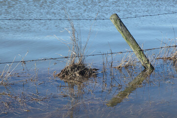 A wooden pole and barbe wire in a flooded meadow
