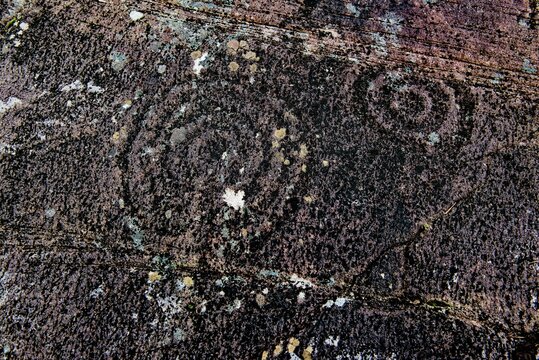 Cup And Ring Prehistoric Stone Carving Panel On Rock Out-crop Site Known As Kealduff Upper 2. On Iveragh Peninsula 7km SW Of Glenbeigh, Kerry, Ireland