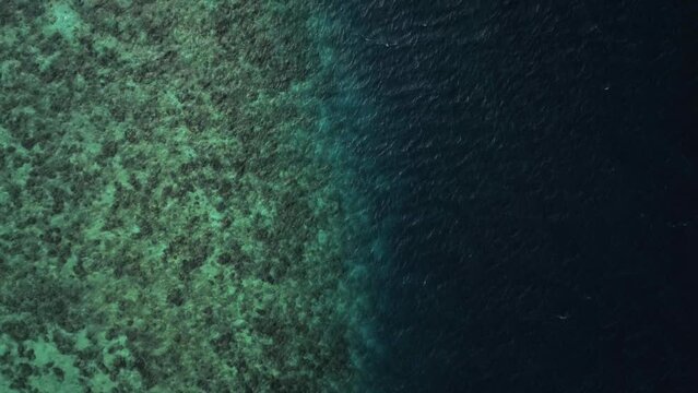 The border between the coastal coral shallows with clean, transparent shallow water and the dark blue waters of the deep ocean. Top view from a flying drone. Ocean and coral reef beauty concept