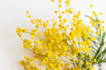 Yellow fresh spring bouquet of mimosa on a white background. Women's Day. March 8. Spring. Easter.