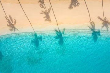 Wandcirkels plexiglas Beach palm trees on the sunny sandy beach and turquoise ocean from above. Amazing summer nature landscape. Stunning sunny beach scenery, relaxing peaceful and inspirational beach vacation template © icemanphotos