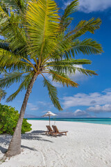 Tranquil tropical beach banner. White sand coco palms travel tourism wide panorama. Summer sea horizon, idyllic island beautiful nature. Amazing beach landscape. Luxury island resort vacation holiday