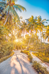 Obraz premium Romantic vibes of tropical palm trees sun rays forest pathway. Outdoor sunset exotic foliage, closeup nature landscape. Coconut palm trees and shining sun beams over bright sky. Summer spring nature