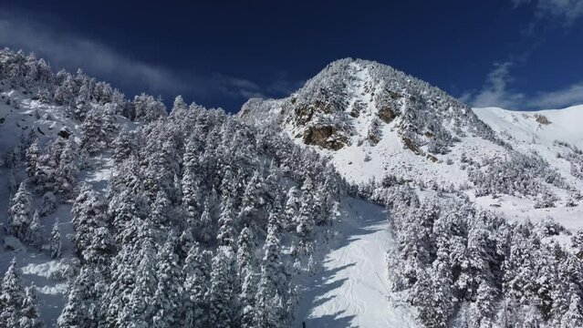 Snowy peak of Gra de Fajol mountain in Vallter in winter season. Aerial view of snowy mountains and forest with alpine trees covered with snow. Setcases, Ripollés, Girona Pyrenees, Catalonia.