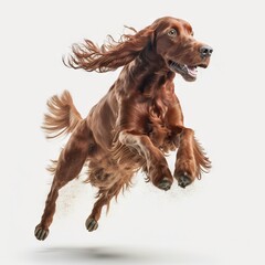  a brown dog jumping in the air with its front paws out and it's front paws in the air with its front paws out.  generative ai - obrazy, fototapety, plakaty