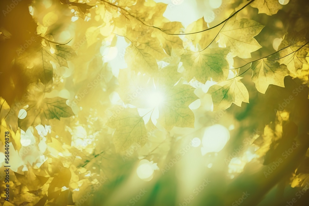 Poster the sun shines through the leaves of a tree in the forest, creating a vibrant image of the sun shini