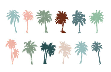 Palm, Hello Summer, hand drawn illustrations, vector.	
 - obrazy, fototapety, plakaty