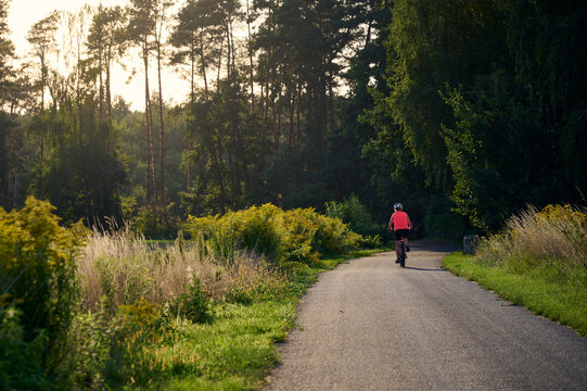 A woman is cycling along a path through meadows towards the forest