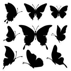 Set of silhouette black butterflies on white background. Vector