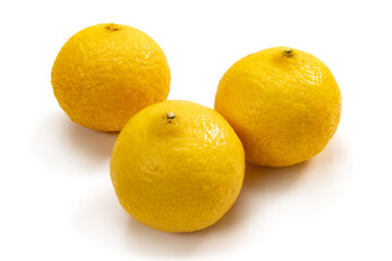 日本の柑橘類、黄金柑