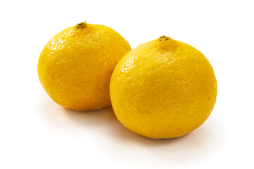 日本の柑橘類、黄金柑