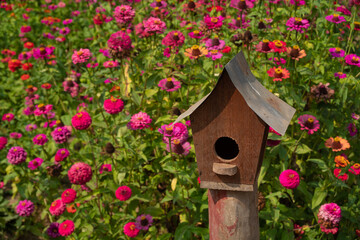 Fototapeta na wymiar Rustic birdhouse in a garden field with a red color of zinnia flower bloom
