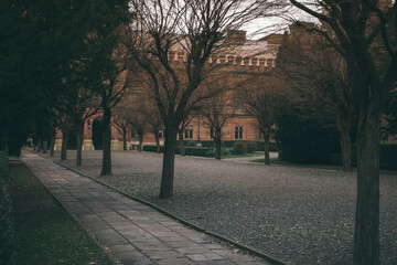 courtyard of an ancient university in Ukraine. Chernivtsi city