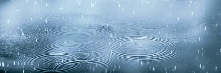 Obraz premium raindrops falling on water circles, abstract monochrome weather background concept banner with copy space