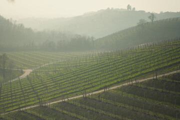 Shot of the Unesco proseco hills, wine mountains framed by the Venetian fog.Cold and foggy winter.