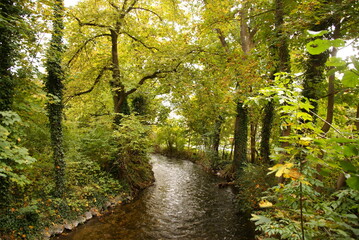 Obraz premium Flusslandschaft links Biegung 568432099