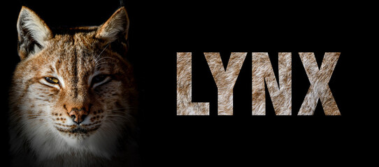 Portrait of lynx with a name on a dark background. The text is from her fur