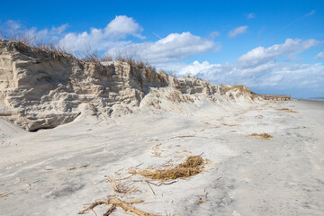 Eroded sand dunes on the beach at Jekyll Island
