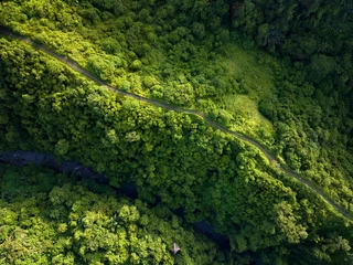 Fototapeten Bali Aerial view of artist trail in Ubud, Bali.  © grthirteen