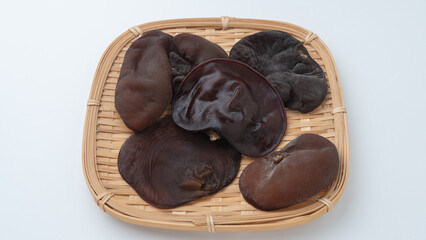 キクラゲ・wood ear mushroom