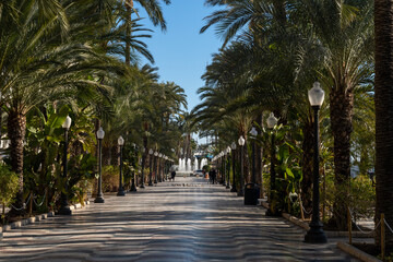 view of the Paseo Maritimo harbor promenade in downtown Alicante