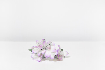 Bouquet of white lilac Alstroemeria flowers on a white table, on a grey background. Creative kind of flowers.