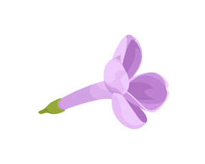 Lilac flower cartoon icon. Vector illustration of spring flower isolated on white background.
