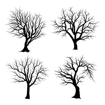 Vector set of tree silhouettes isolated on white background