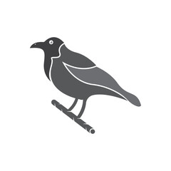 Elegant bird logo icon design and symbol