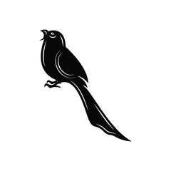 Elegant bird logo icon design and symbol