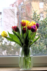 Bright and colourful tulips in a vase. Beautiful and tender flowers create perfect spring mood.