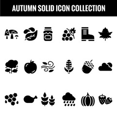 Autumn Solid icon collection, Leaves, berries, sweater in solid style filled icons - Vector illustration.