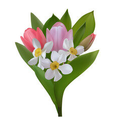 Naklejka premium Spring flowers. Floral background. Tulips. Daffodils. Bouquet. Buton. Beautiful illustration.