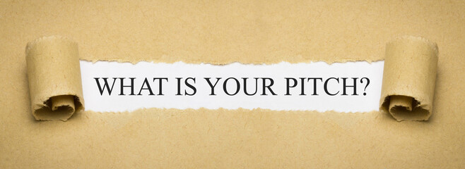 What is Your Pitch?