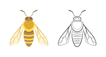 Bee color illustration and outline. Cartoon flat simple illustration. Vector insect icon. Logo concept.